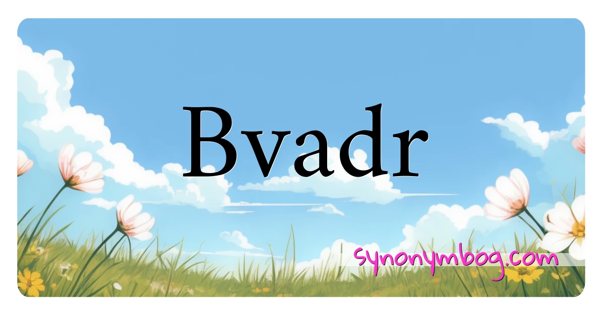 Bvadr synonymer krydsord betyder forklaring og brug