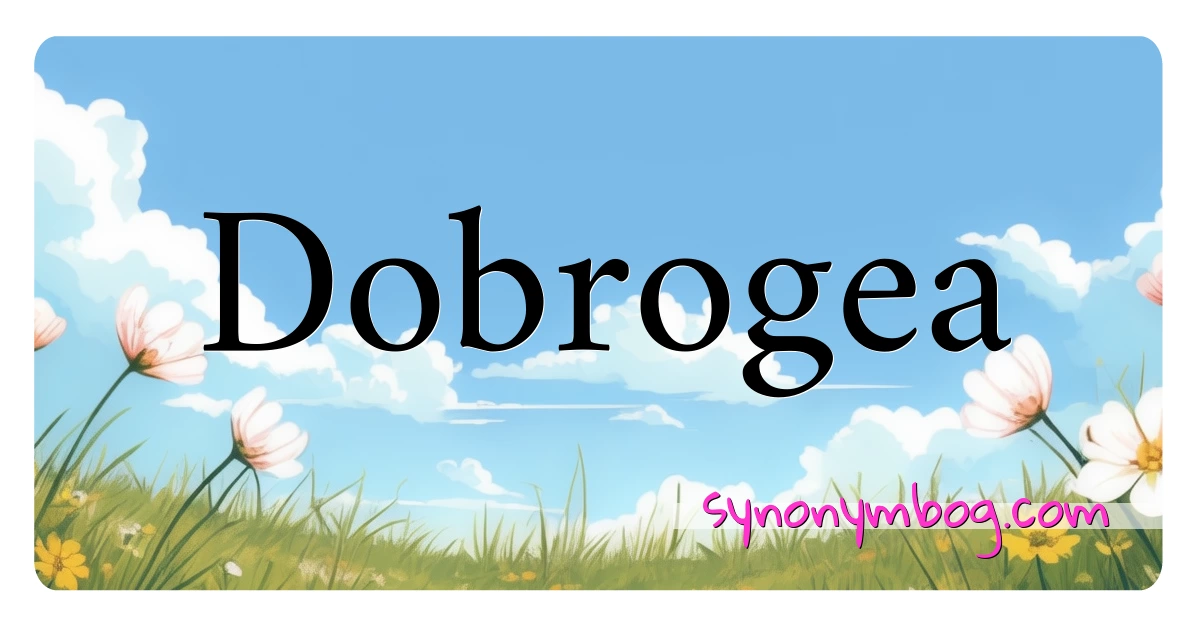 Dobrogea synonymer krydsord betyder forklaring og brug