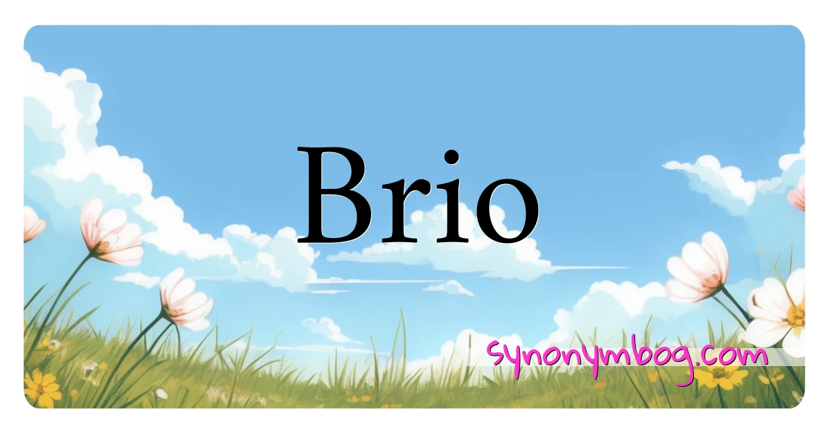 Brio synonymer krydsord betyder forklaring og brug