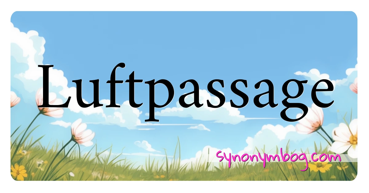 Luftpassage synonymer krydsord betyder forklaring og brug