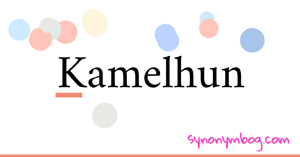 Kamelhun synonymer krydsord betyder forklaring og brug