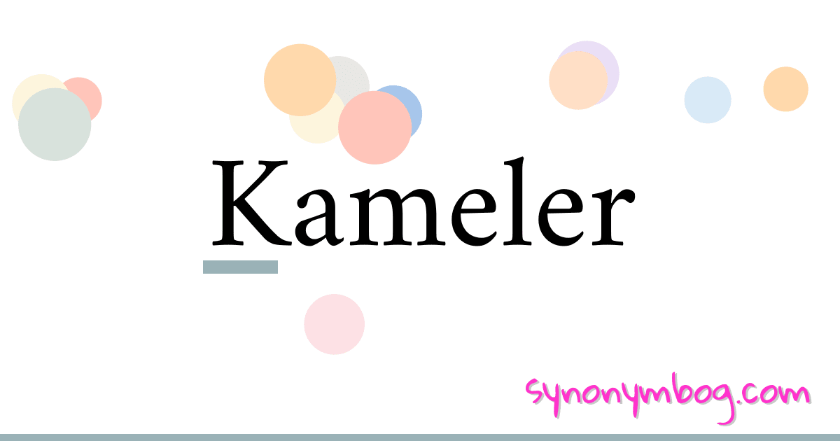 Kameler synonymer krydsord betyder forklaring og brug