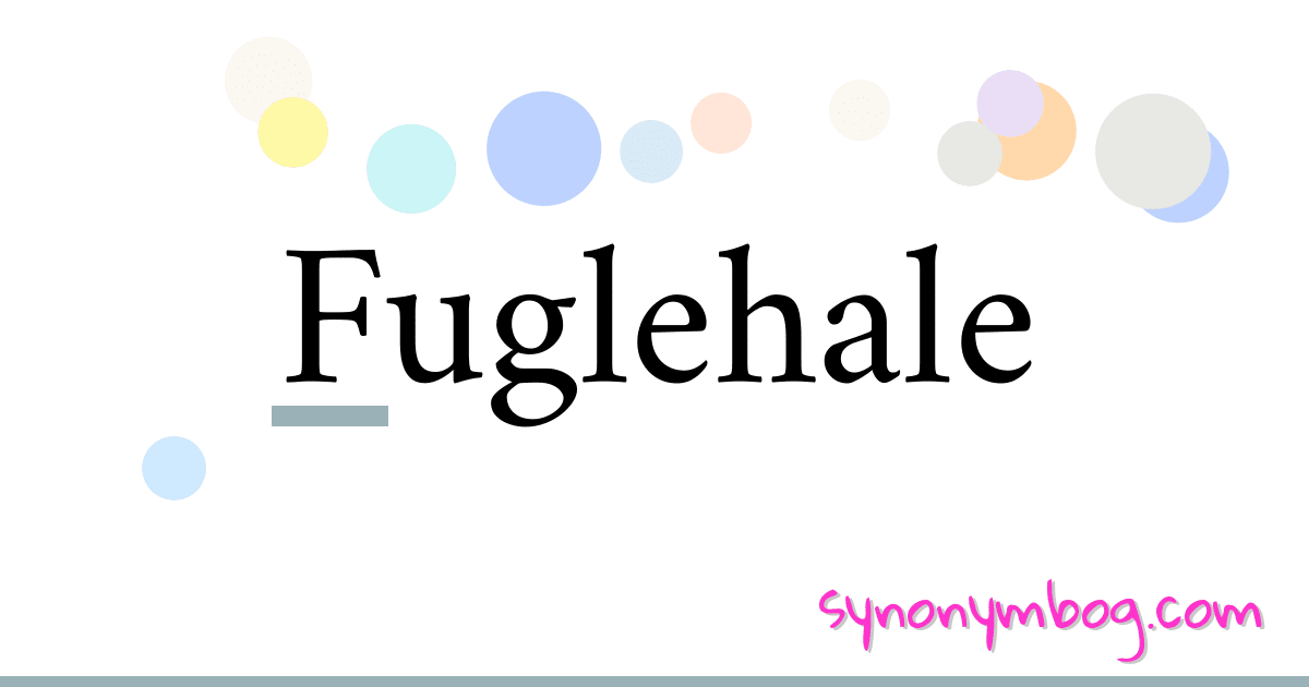 Fuglehale synonymer krydsord betyder forklaring og brug