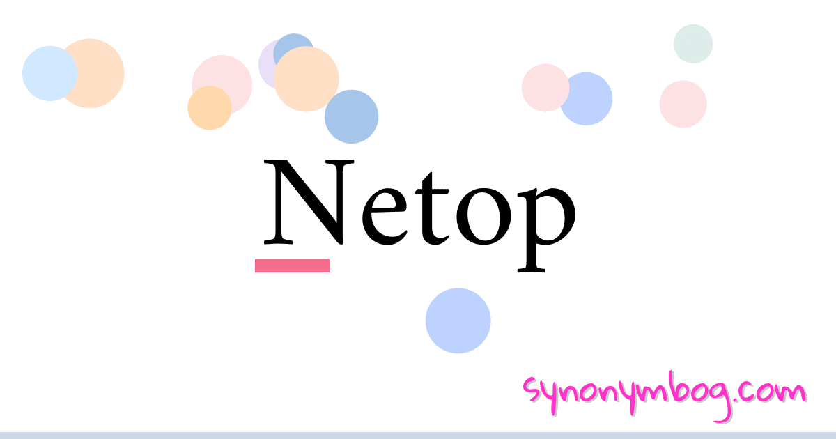 Netop synonymer krydsord betyder forklaring og brug